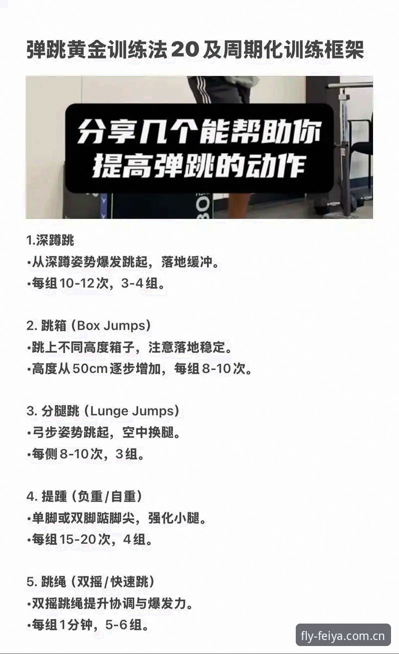 飞亚体育娱乐平台使用技巧：从入门到精通的完整教程